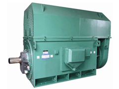 塔什库尔干Y系列6KV高压电机
